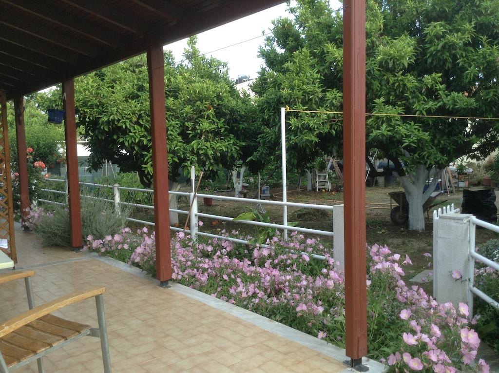 Studios Lalu Skiathos by Eksteriør billede